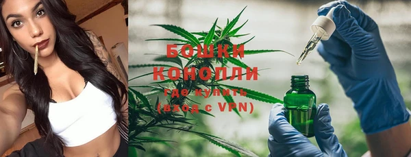 крисы Сосновоборск