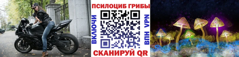 гидра как зайти  Мценск  Галлюциногенные грибы Cubensis 